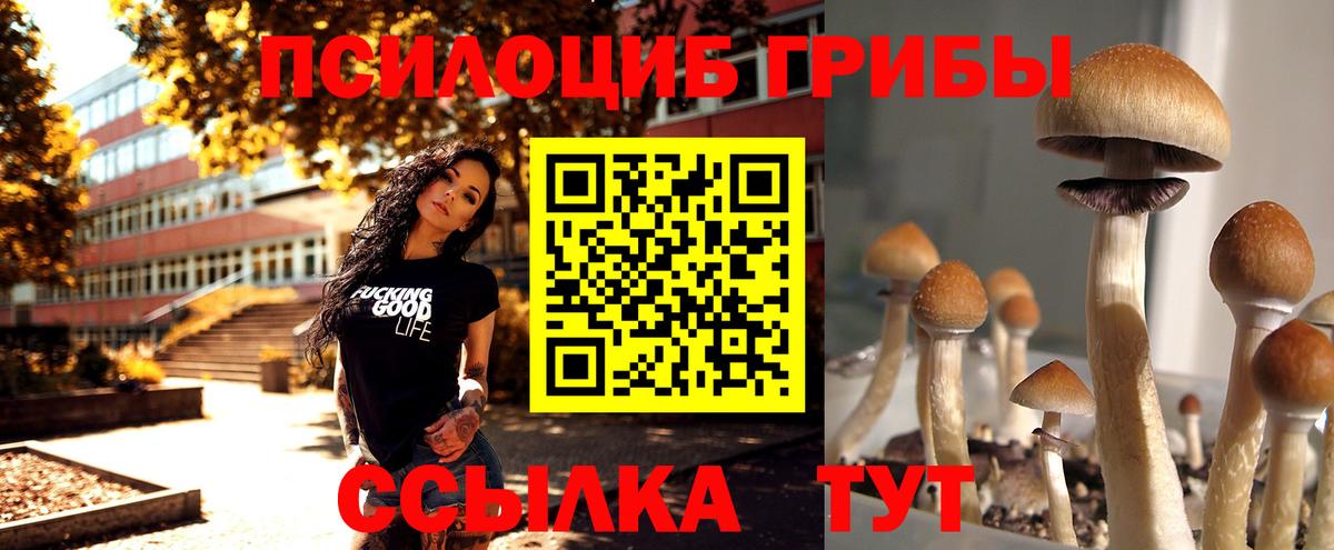 Бугуруслан  Псилоцибиновые грибы Psilocybine cubensis  Вход с VPN 